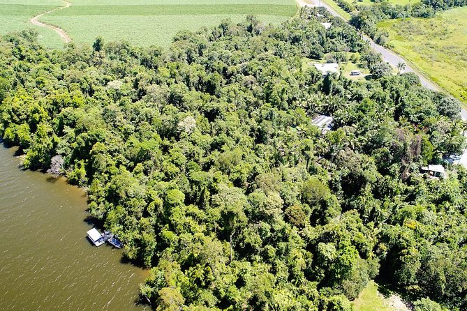 1-Hour Daintree River wildlife cruise - What I would watch for on the river