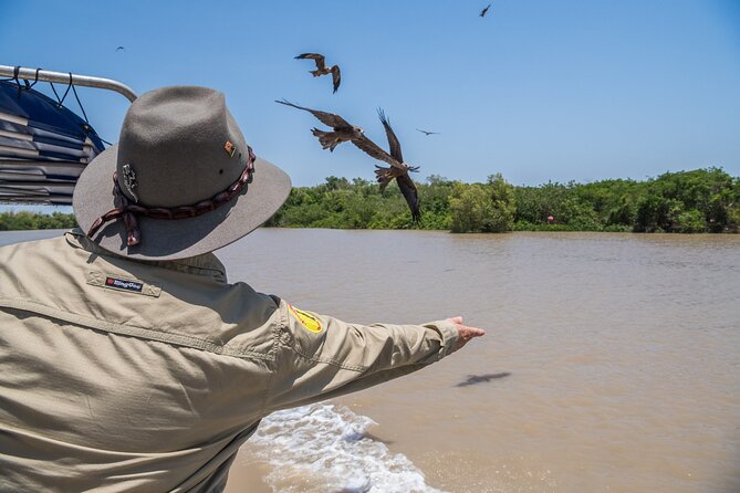 1 Hour Jumping Crocodile Cruise on the Adelaide River - Key points to know before you go