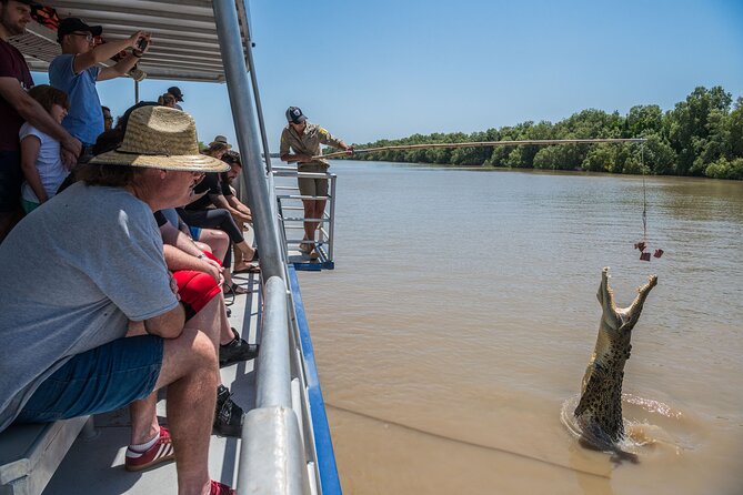 1 Hour Jumping Crocodile Cruise on the Adelaide River - The wider wildlife and river setting