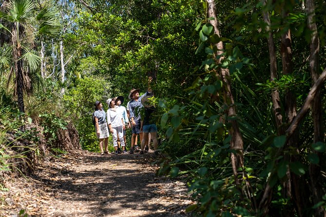 1 Hour Jumping Crocodile Cruise on the Adelaide River - Getting to Middle Point from Darwin
