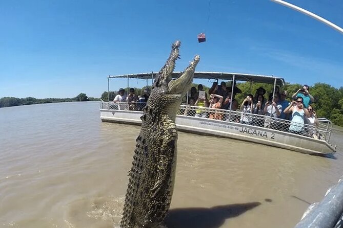 1 Hour Jumping Crocodile Cruise on the Adelaide River - What is at the departure point