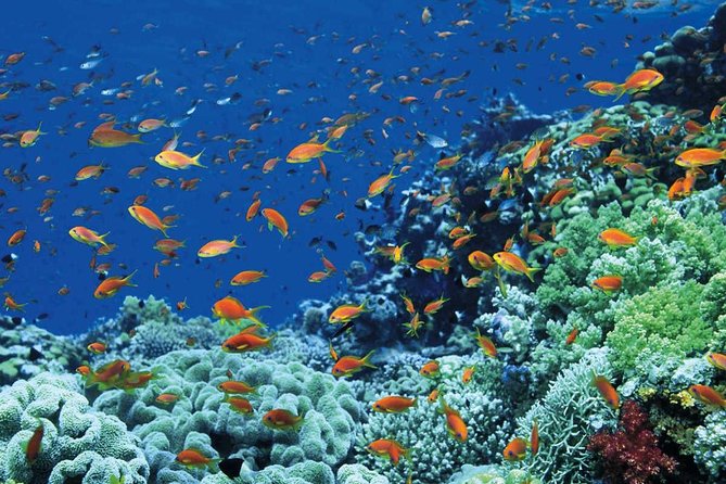 12 Day Exquisite Egypt - Cairo & Nile Cruise & Red Sea Flights & Hotels Included - Three nights in Hurghada on the Red Sea