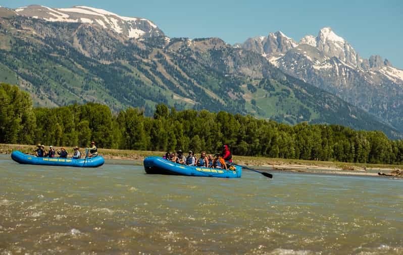 13-Mile Snake River Scenic Rafting Experience from Jackson - Watching for bald eagles and river wildlife