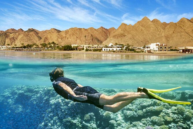 8 Day Cairo Pyramids and Nile cruise and Alexandria All inclusive Private Tour - Day 7: Alexandria’s Roman, royal, and modern sides