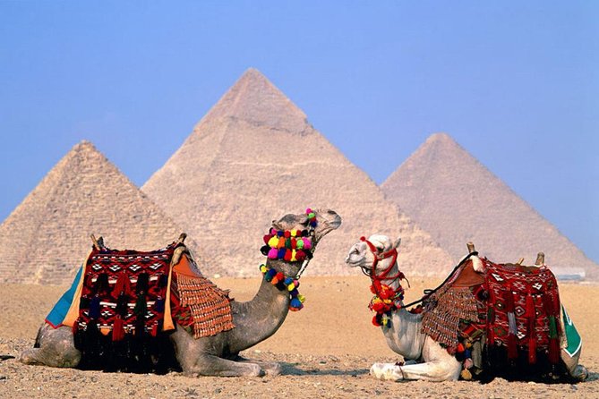 8-Day Private Tour Cairo, Aswan, Luxor and Nile Cruise Including Air Fare - Cairo begins with pyramids, museums, and careful airport help