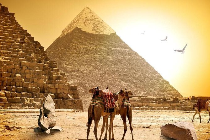 8-Day Private Tour Cairo, Aswan, Luxor and Nile Cruise Including Air Fare - Who should book this trip