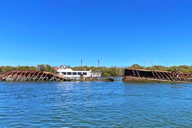 90 Minute Port River Dolphin & Ships Graveyard Cruise - Key points to know before you go