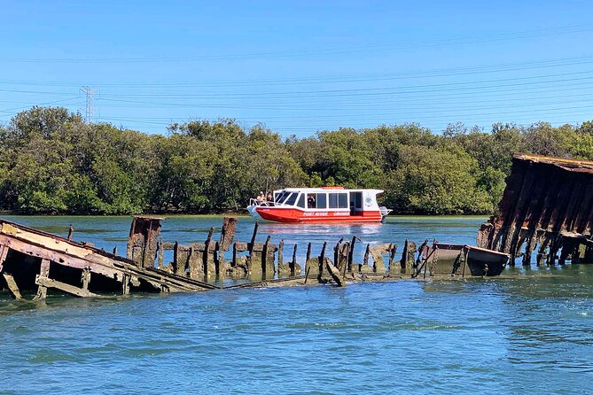 90 Minute Port River Dolphin & Ships Graveyard Cruise - From 1 McLaren Parade into Port Adelaide waters