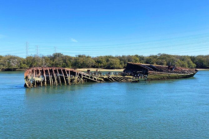 90 Minute Port River Dolphin & Ships Graveyard Cruise - Is $63.12 good value?