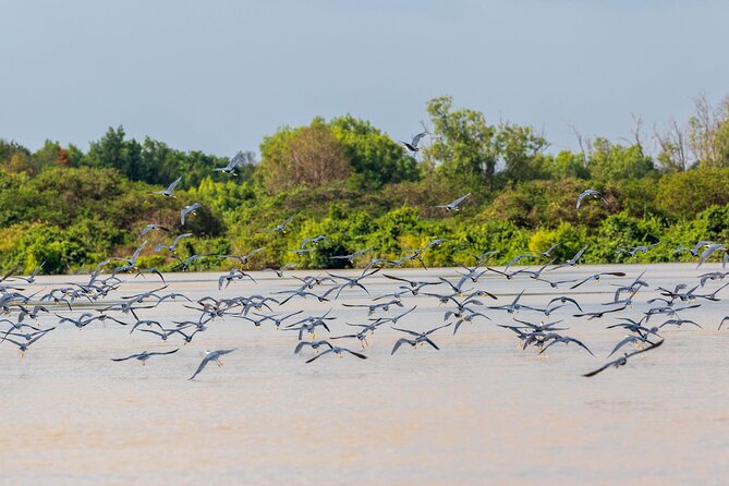 Adelaide River Cruises - Jumping Crocodile Experience - Brutus, Dominator, and the crocodiles with names