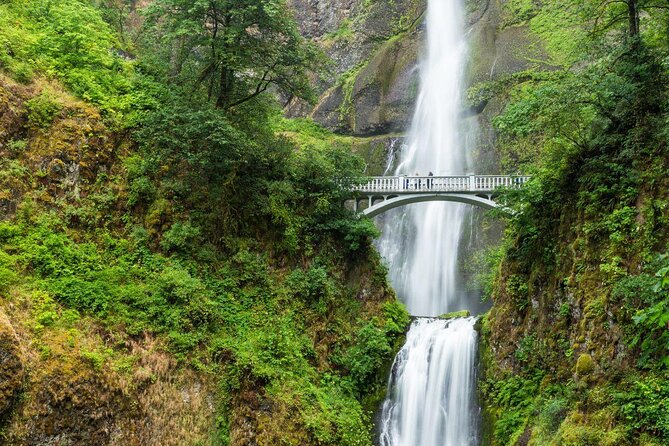Afternoon Half-Day Multnomah Falls and Columbia River Gorge Waterfalls Tour from Portland - Key points to know before booking