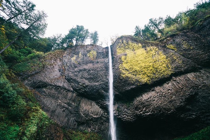 Afternoon Half-Day Multnomah Falls and Columbia River Gorge Waterfalls Tour from Portland - Guides make the short schedule work