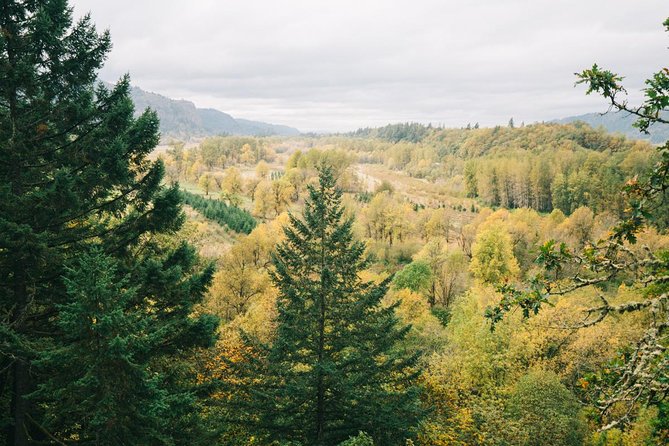 Afternoon Half-Day Multnomah Falls and Columbia River Gorge Waterfalls Tour from Portland - The shared tour is efficient, not leisurely