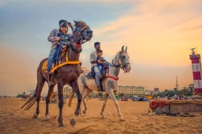 Agadir 2hours Horse Riding visite the flamingo river