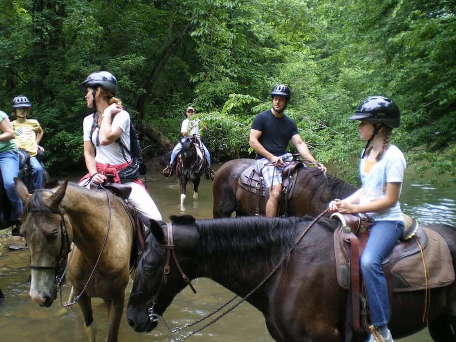 Agadir 2hours Horse Riding visite the flamingo river - FAQ