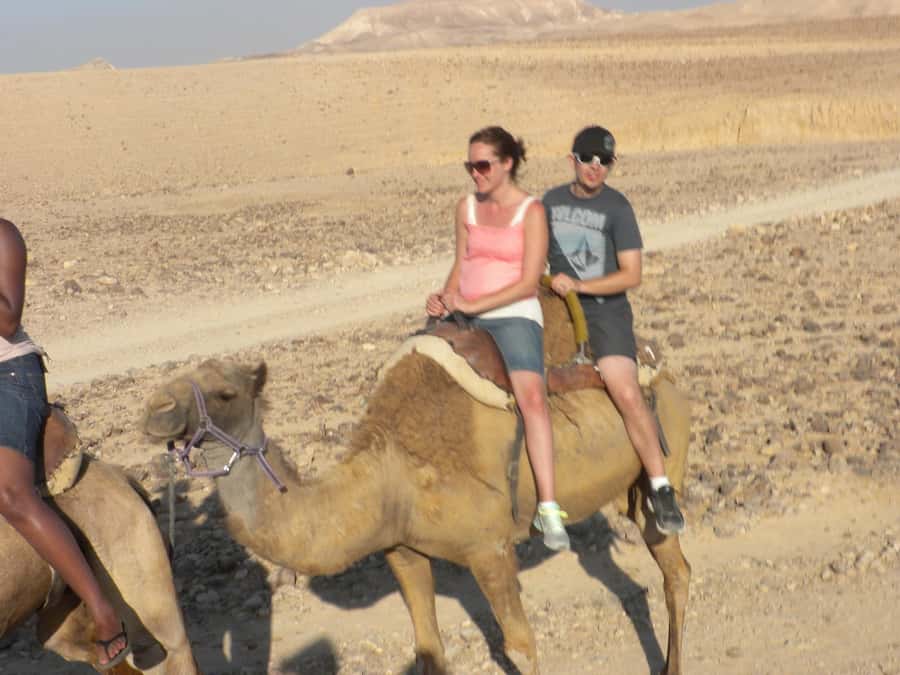 Agadir Camel Ride Flamingo River & BBQ Dinner - What this Agadir camel ride is really like