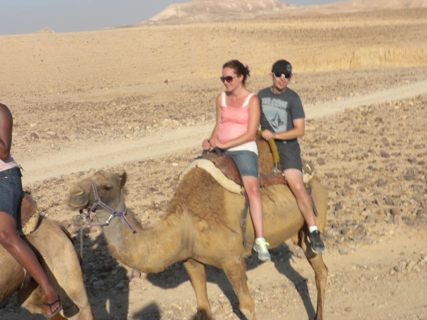 Agadir Camel Ride Flamingo River & BBQ Dinner - Should you book the Agadir camel ride?