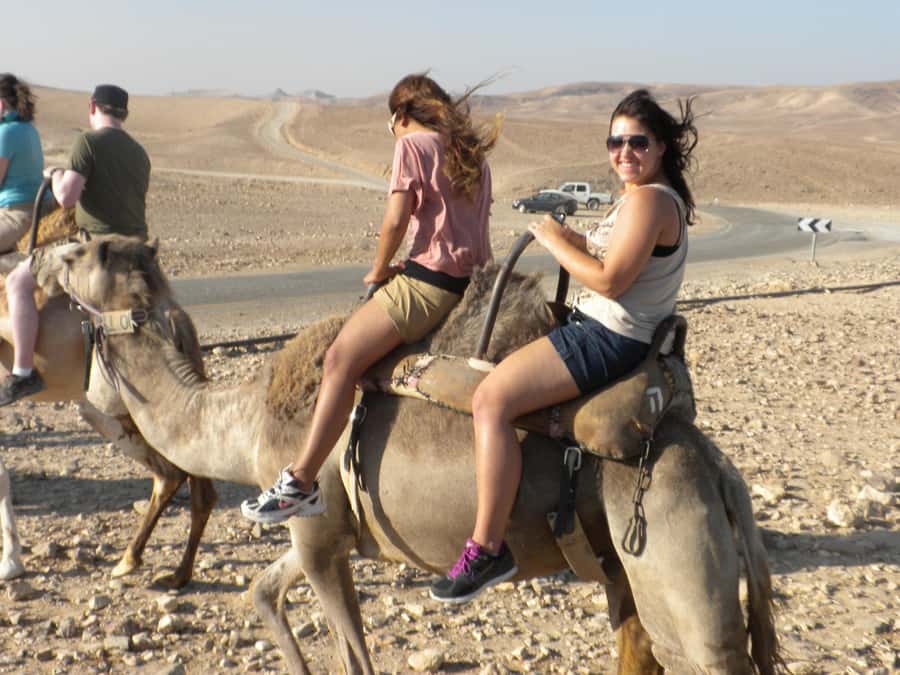 Agadir Camel Ride Flamingo River & BBQ Dinner - The tea stop and Moroccan BBQ