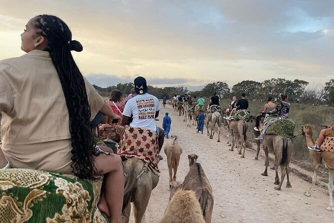 Agadir Camel Riding and flamingo river tour - Riding along the Souss River