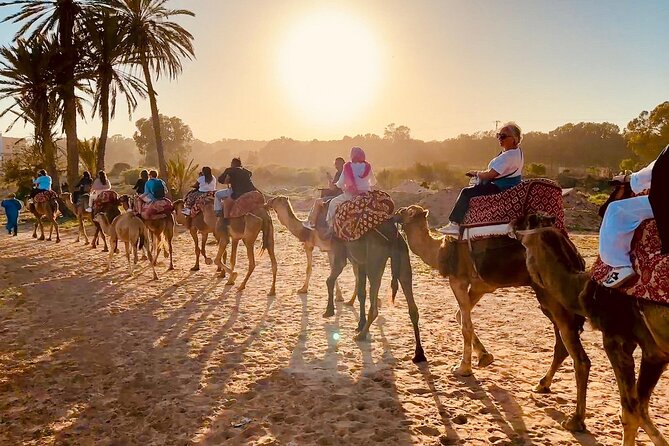 Agadir Camel Riding and flamingo river tour - What to expect from the private format