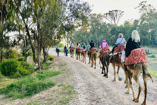 Agadir Camel Riding and flamingo river tour - Starting from your hotel in Agadir