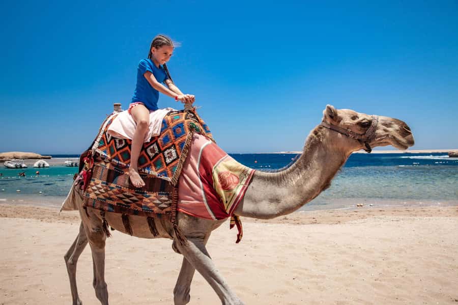 Agadir: Flamingo River Camel Ride with Optional BBQ Dinner - Riding Through Aghroud Bensergao