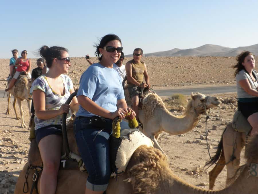 Agadir: Flamingo River Camel Ride with Optional BBQ Dinner - What the Guides Do Well, and What to Ask For