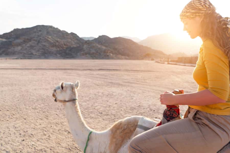 Agadir: Flamingo River Camel Ride with Optional BBQ Dinner - Booking Advice and Practical Expectations