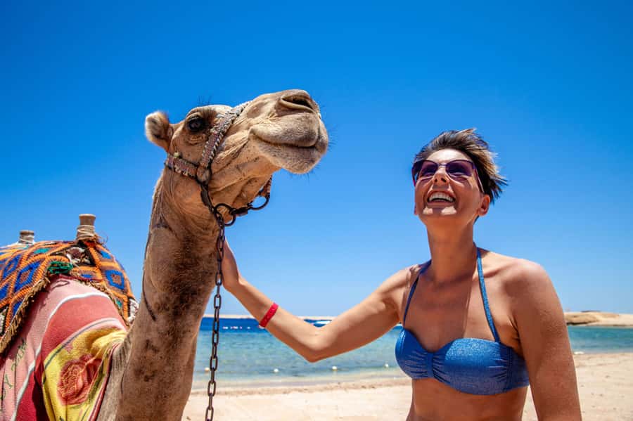 Agadir: Flamingo River Camel Ride with Optional BBQ Dinner - Should You Book This Agadir Camel Ride?