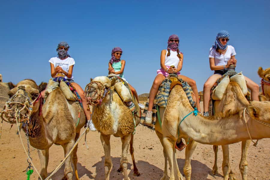 Agadir: Flamingo River Camel Ride with Optional BBQ Dinner - FAQ