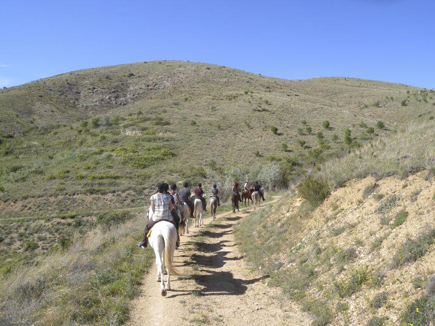 Agadir Horse Riding visite the flamingo river with tea drink - Booking flexibility and practical details