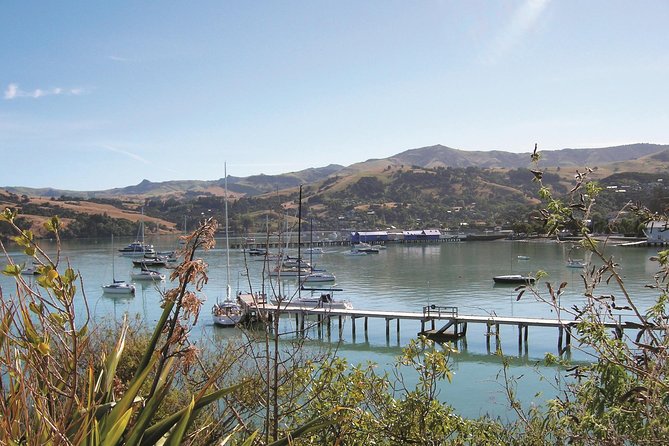 Akaroa Shore Excursion: Christchurch City Tour and Jet Boating - The Waimakariri’s Braided River Thrill