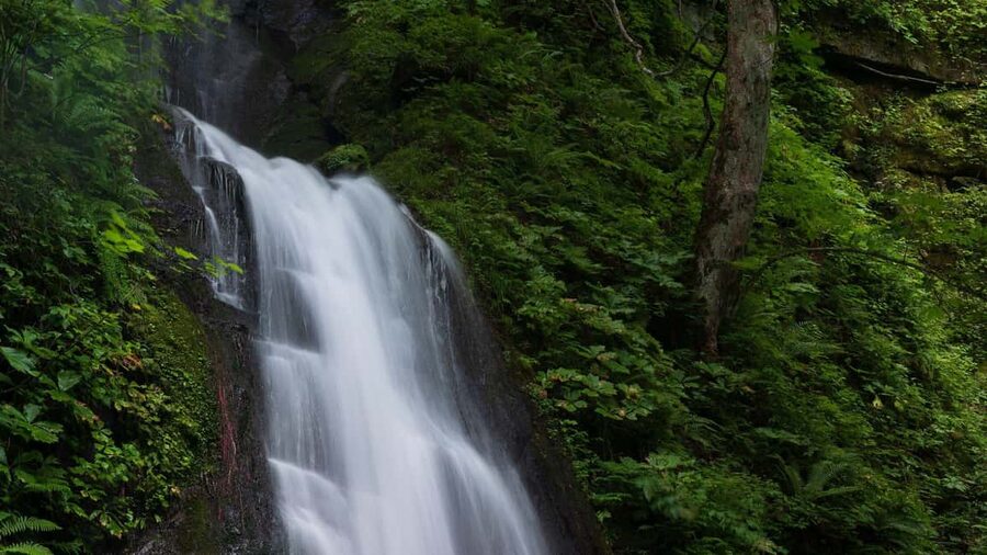 Alanya: Family Jeep Safari w/Canyon, River & Village Visit - Oba Waterfall brings a quiet pause
