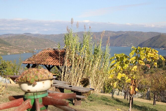 Along the Danube: Golubac Fortress & Iron Gate Gorge day trip from Belgrade - Is the $120.98 price good value?