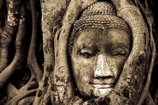 Ancient City & Temples of Ayutthaya ( UNESCO ) by River Cruise with Buffet Lunch - Wat Mahathat and the Buddha in the tree roots
