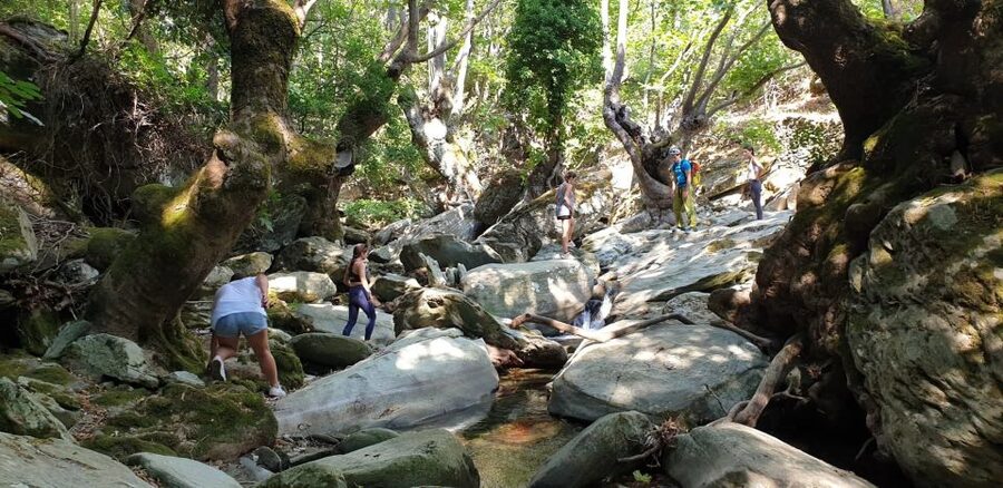 Andros: Achla River Trekking to the Waterfall - Why Gerolimni Waterfall Is Worth the Effort