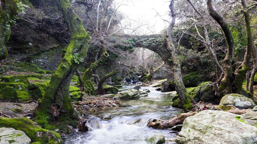 Andros: Achla River Trekking to the Waterfall - Guide Style and Group Size