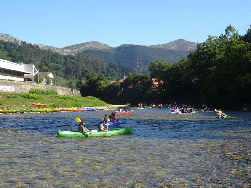Arriondas: Canoeing Descent on the Sella River - Riverfront bars, birds, and the quieter middle sections