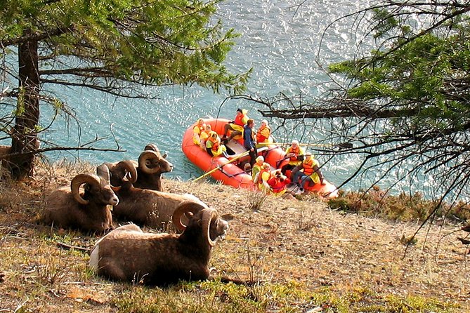 Athabasca River Easy Scenic Raft Trip - Floating the historic Athabasca route