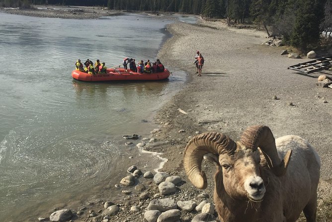 Athabasca River Easy Scenic Raft Trip - Is it suitable for children and older adults?