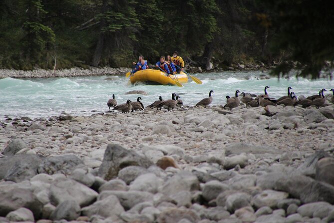 Athabasca River Mile 5 - How the guides shape the experience