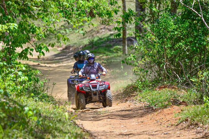 ATV River, Beach, Jungle Adventure and Crocodiles Hotspot from San Jose - What this $78 ATV trip really gives you