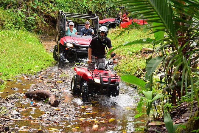 ATV River, Beach, Jungle Adventure and Crocodiles Hotspot from San Jose - Who will enjoy this most