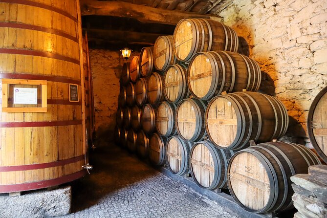 Authentic Small Group Douro Wine Tour with Lunch & River Cruise - First quinta: wine, Port, and the making of a bottle