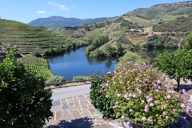 Authentic Small Group Douro Wine Tour with Lunch & River Cruise - Pinhao, Rabelo boats, and the river’s working past