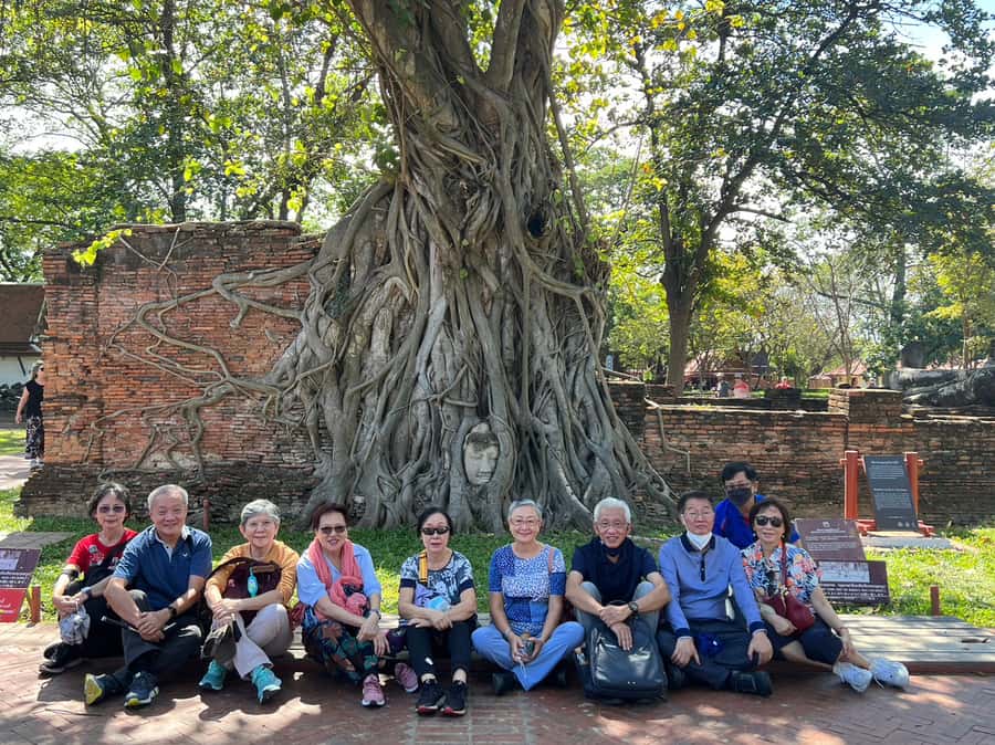 Ayutthaya Day Tour: Ancient Trade Route Temples River Cruise - Wat Mahathat and the Buddha head in the roots