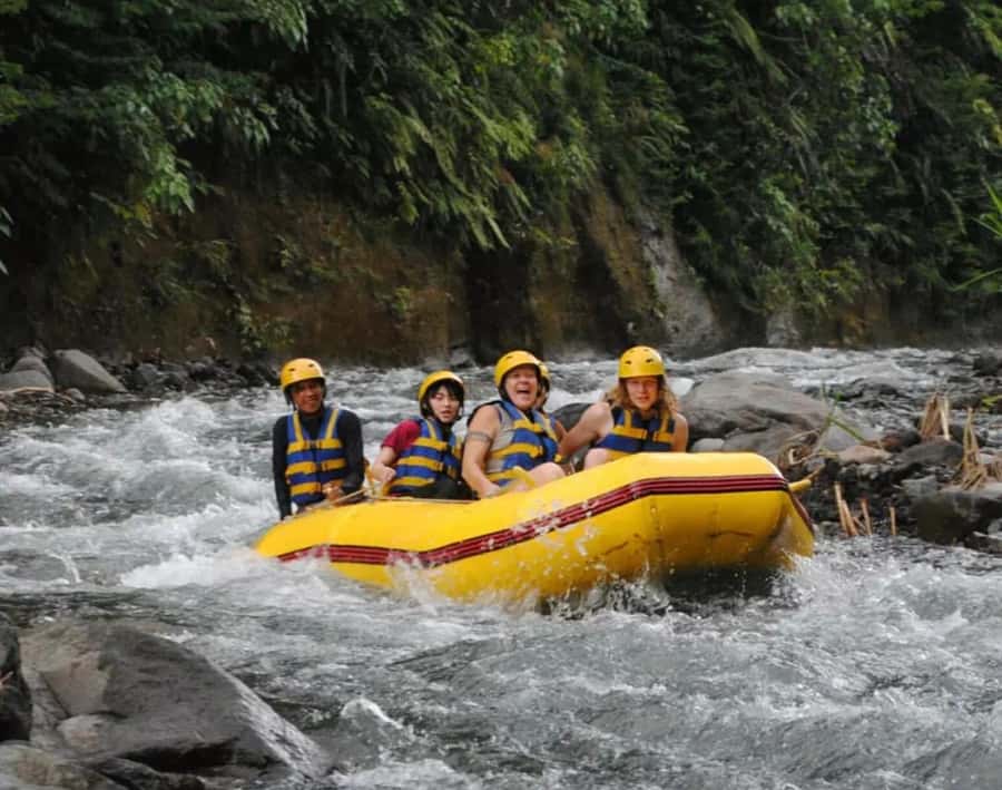 Bali: Telaga Waja River Rafting Small-Group Tour with Lunch - Who should book this rafting trip?