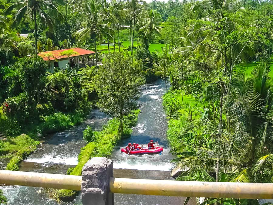 Bali: Telaga Waja White Water River Guided Rafting & Lunch - Is $20 good value?