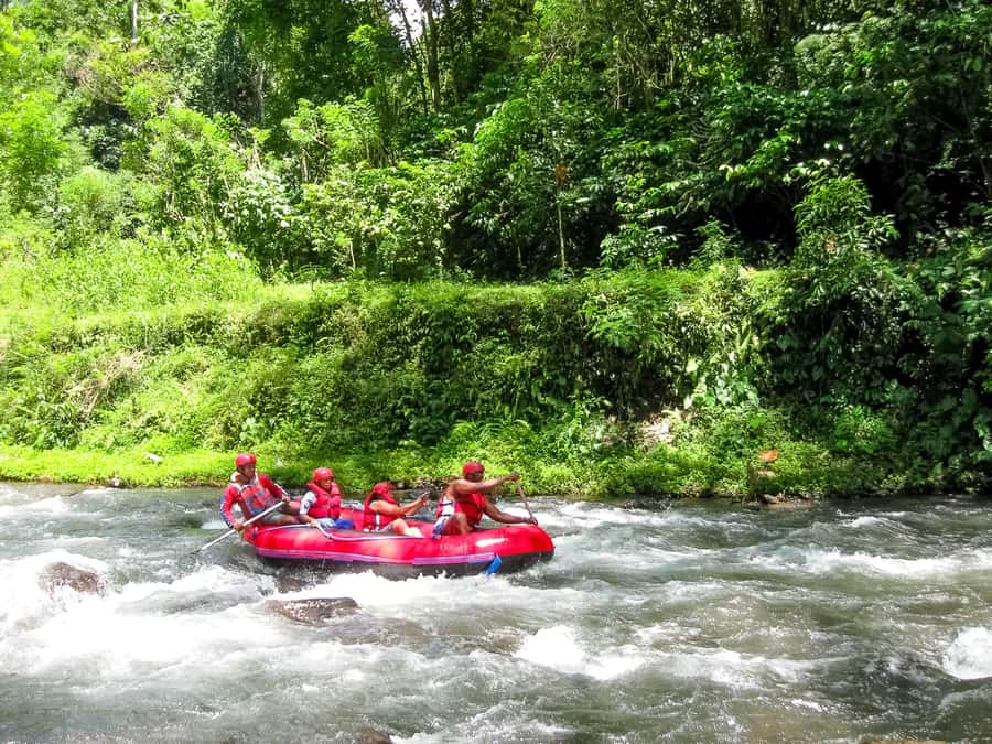 Bali: Telaga Waja White Water River Guided Rafting & Lunch - Booking details worth knowing