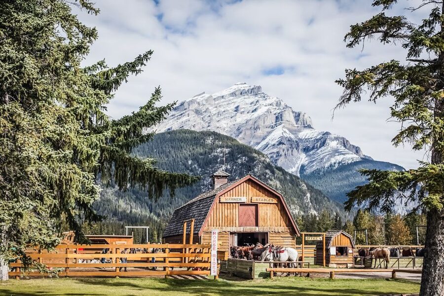 Banff National Park: 1-Hour Bow River Horseback Ride - Following the Bow River Toward Cave and Basin